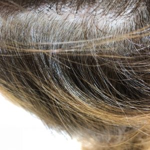 イルミナ　グレイ　後